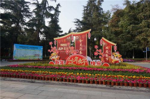 新春园林爆料视频下载,视频爆料带你领略园林之美